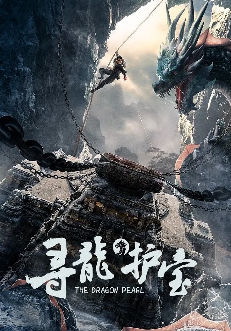 寻龙护宝封面图