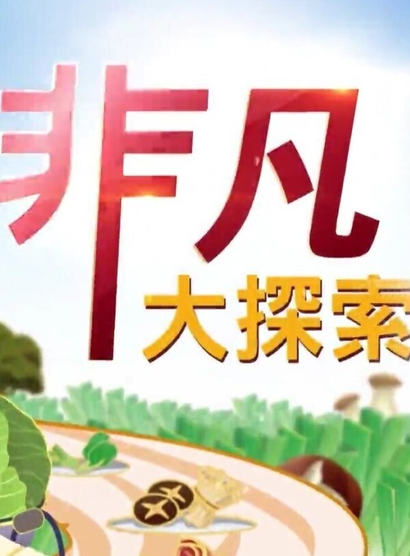 非凡大探索 2026封面图