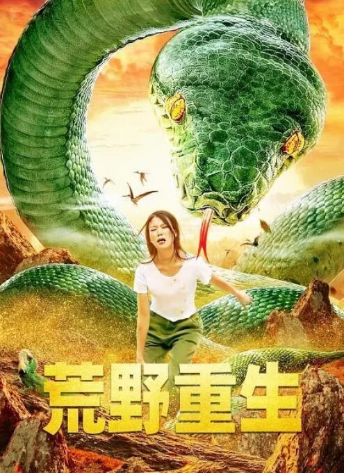 荒野重生封面图
